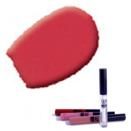 Luciu Buze – Film Maquillage Lip Gloss nr 3 cu Comanda Online